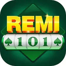 remi101